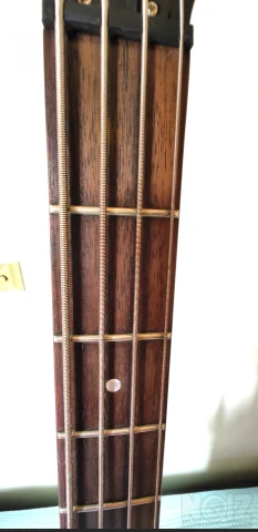 Epiphone Limited Edition Thunderbird IV 