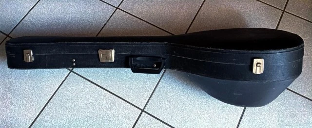 Θήκη μπουζουκιού