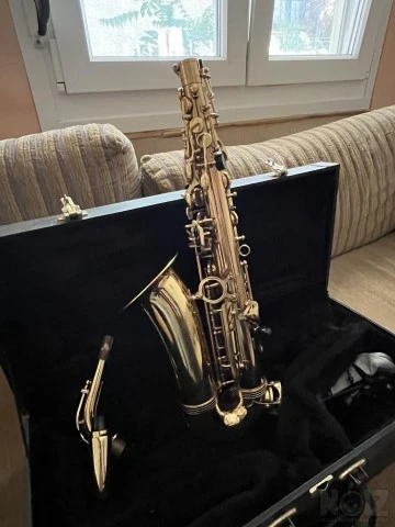 Τrevor James the horn alto saxophone Eb