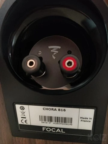 Focal Chora 816