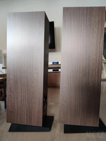 Focal Chora 816