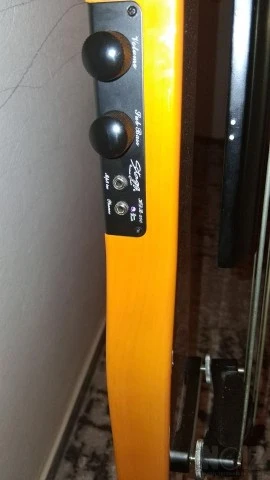 Stagg 400