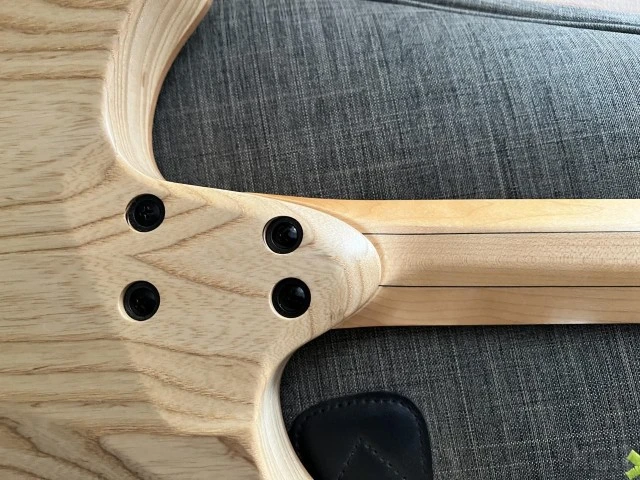 Strandberg Biden original nx 6