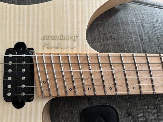 Strandberg Biden original nx 6