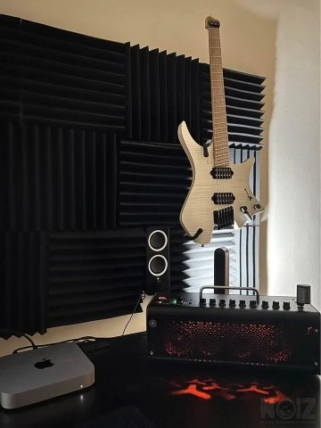 Strandberg Biden original nx 6