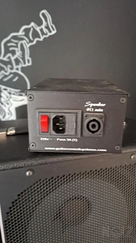 GSS Baby Sumo 600W Class D