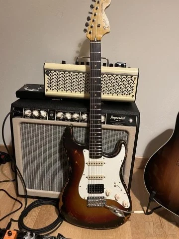 Stratocaster Partcaster