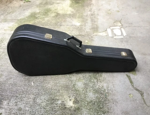 Marlin Pro 12χορδη (12-string acoustic guitar)