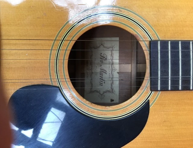 Marlin Pro 12χορδη (12-string acoustic guitar)