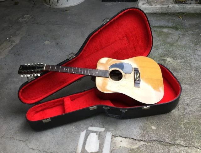 Marlin Pro 12χορδη (12-string acoustic guitar)