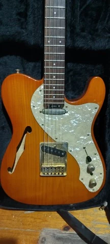 Blade Gary Levinson Telecaster