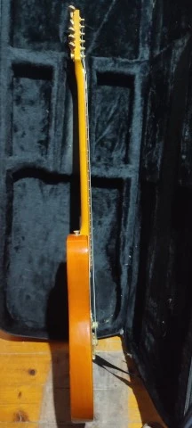 Blade Gary Levinson Telecaster