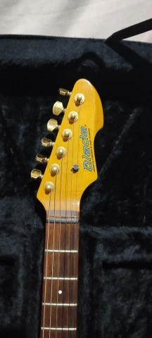 Blade Gary Levinson Telecaster