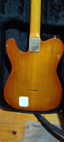 Blade Gary Levinson Telecaster