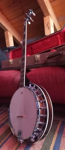 Fender 5-string Banjo