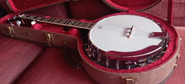 Fender 5-string Banjo