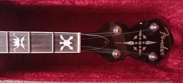 Fender 5-string Banjo