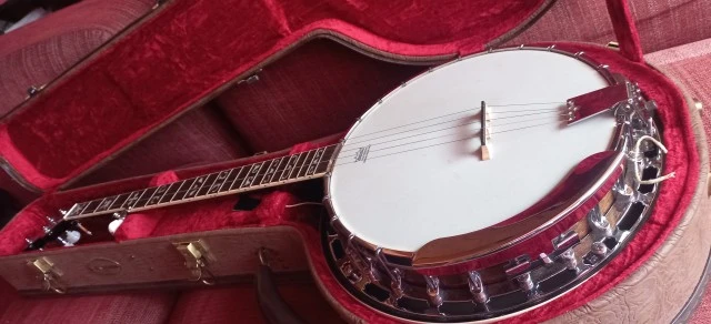 Fender 5-string Banjo