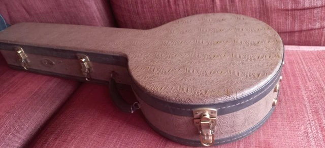 Fender 5-string Banjo