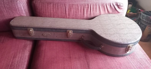 Fender 5-string Banjo
