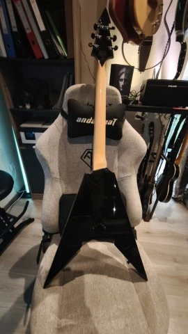 Wylde Audio Viking V Replica