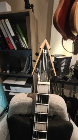 Wylde Audio Viking V Replica
