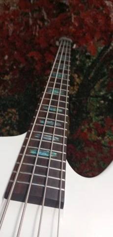 Spector Cris Kael