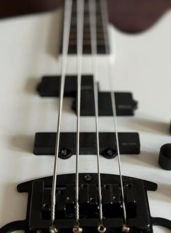 Spector Cris Kael