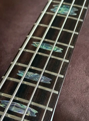 Spector Cris Kael