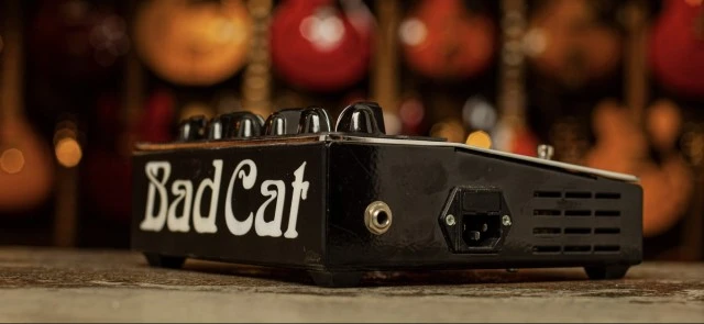 Bad Cat Xtreme Tone