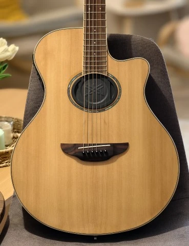 Yamaha APX600