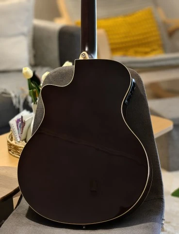 Yamaha APX600