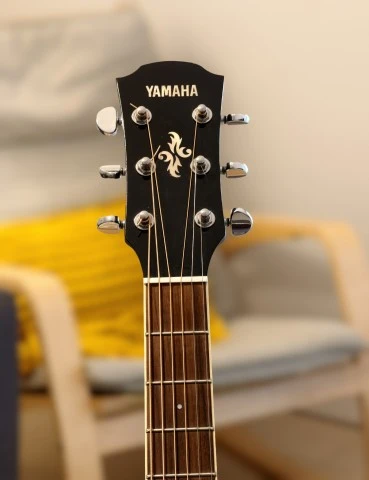Yamaha APX600