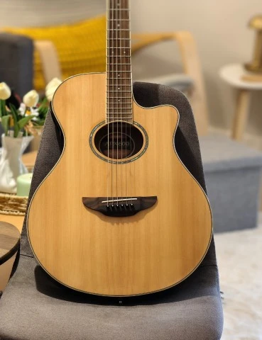 Yamaha APX600