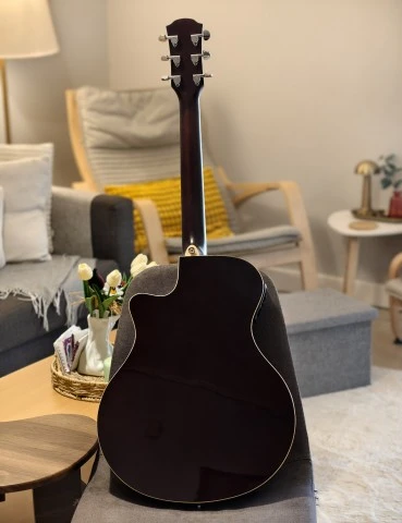 Yamaha APX600