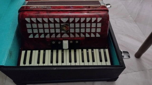 Accordion parrot