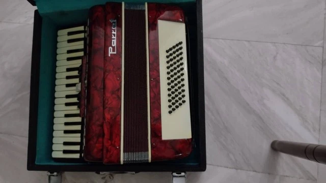 Accordion parrot