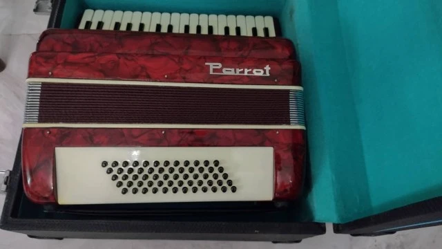 Accordion parrot