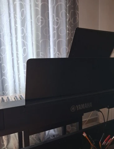 Yamaha Digital piano p225