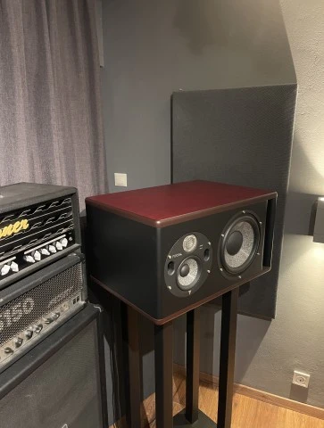 Focal Trio 11