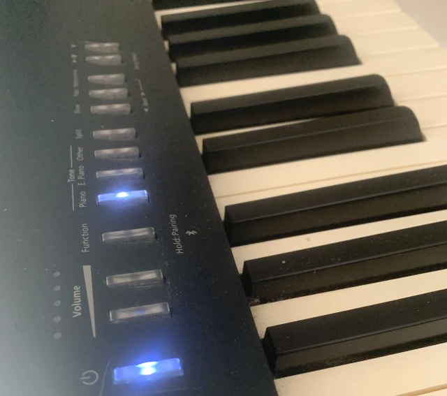 Roland FP-30X