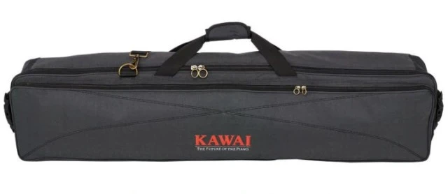 Kawai ES110 console + Gator Kawai case + Dustcover
