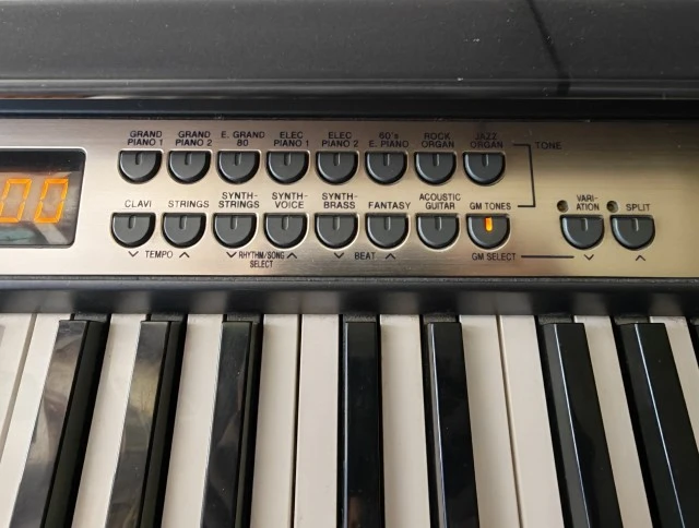 Casio Privia PX-300