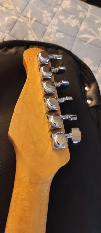 Godin SD24