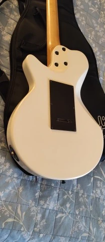 Godin SD24