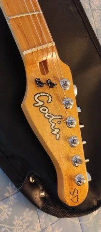 Godin SD24