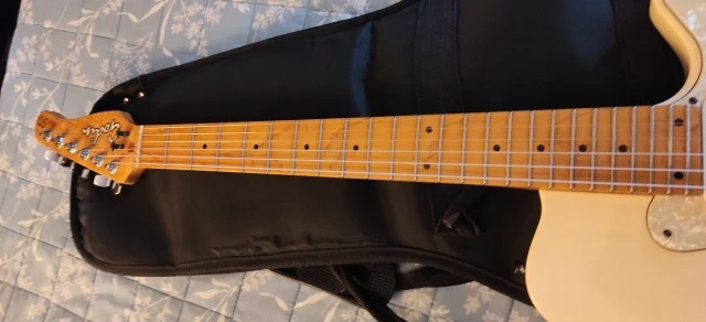 Godin SD24