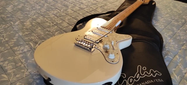 Godin SD24