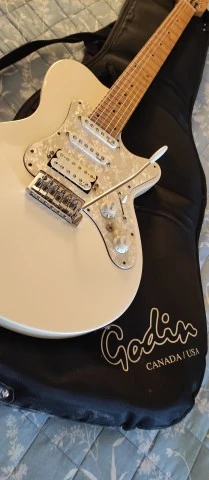 Godin SD24