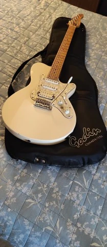 Godin SD24